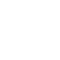 Estin